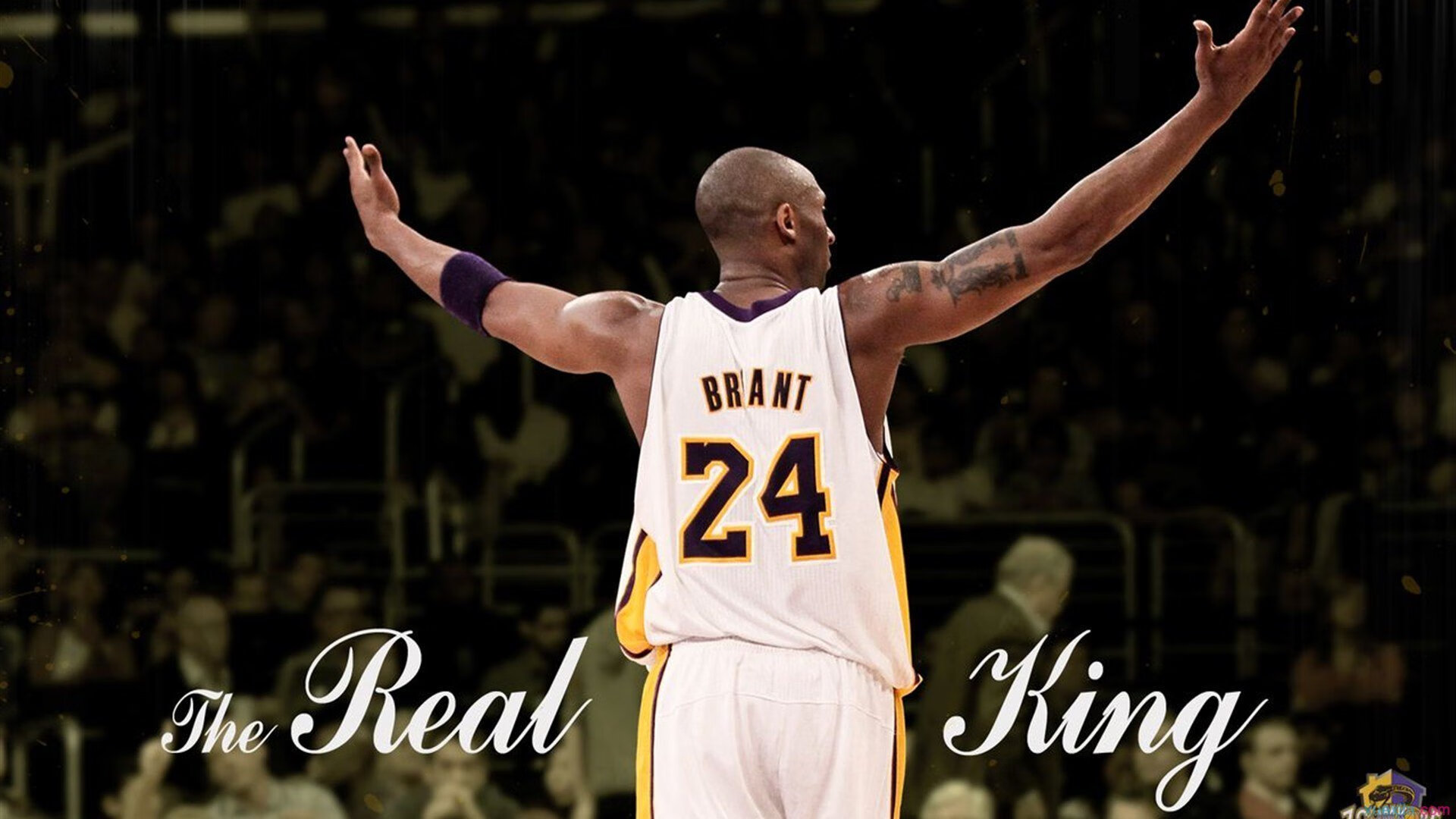 爵士封锁奇才，世界排名争夺战焦点战解析